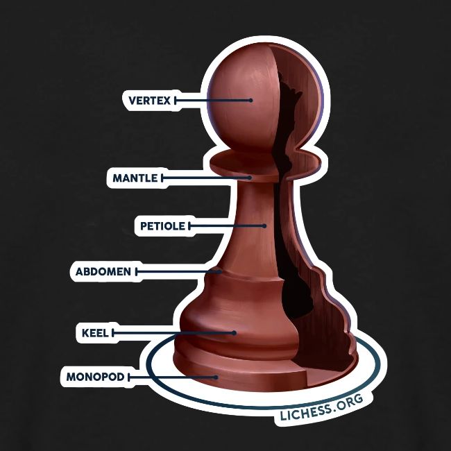 Lichess Pawn