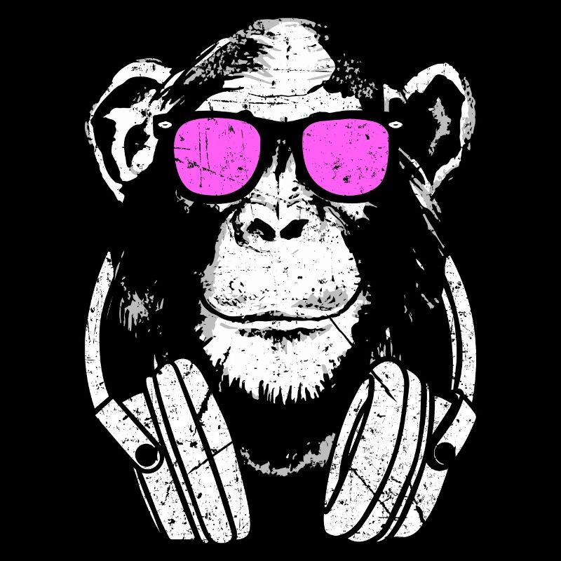 Monkey DJ