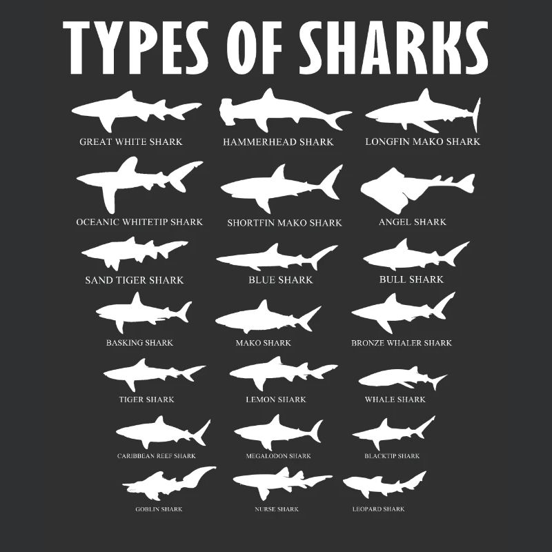 types de requins