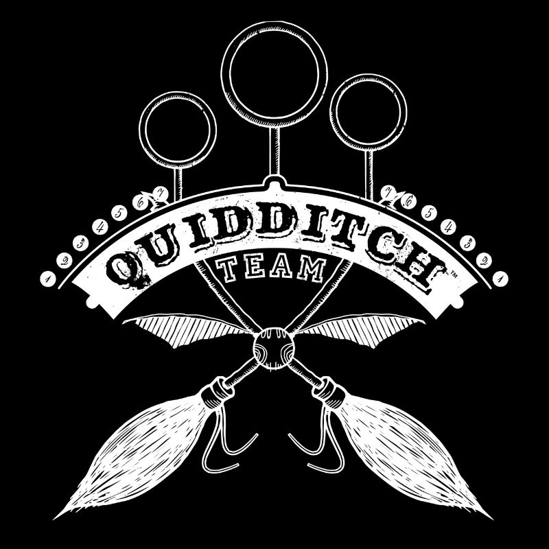 Harry Potter Quidditch Team
