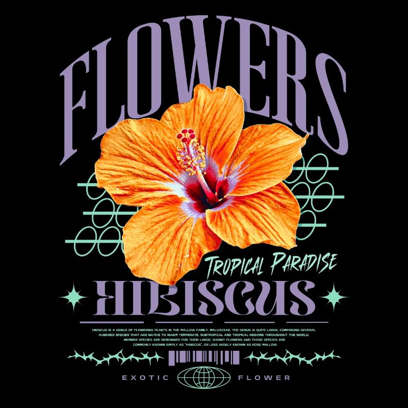 Fleur d’hibiscus Fleur d’hibiscus