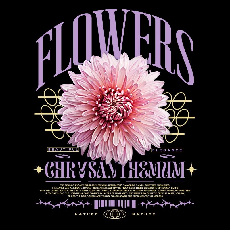 Chrysanthème Chrysanthèmes