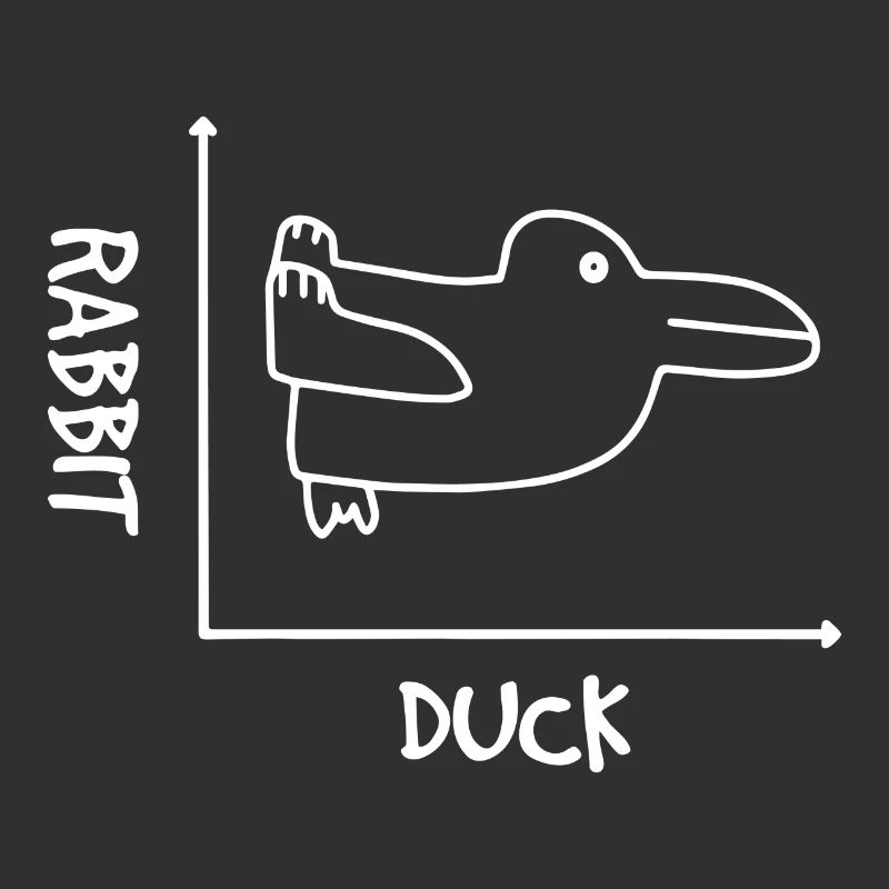 Graphismes Hasse Ente Illusion Illusion De Maths