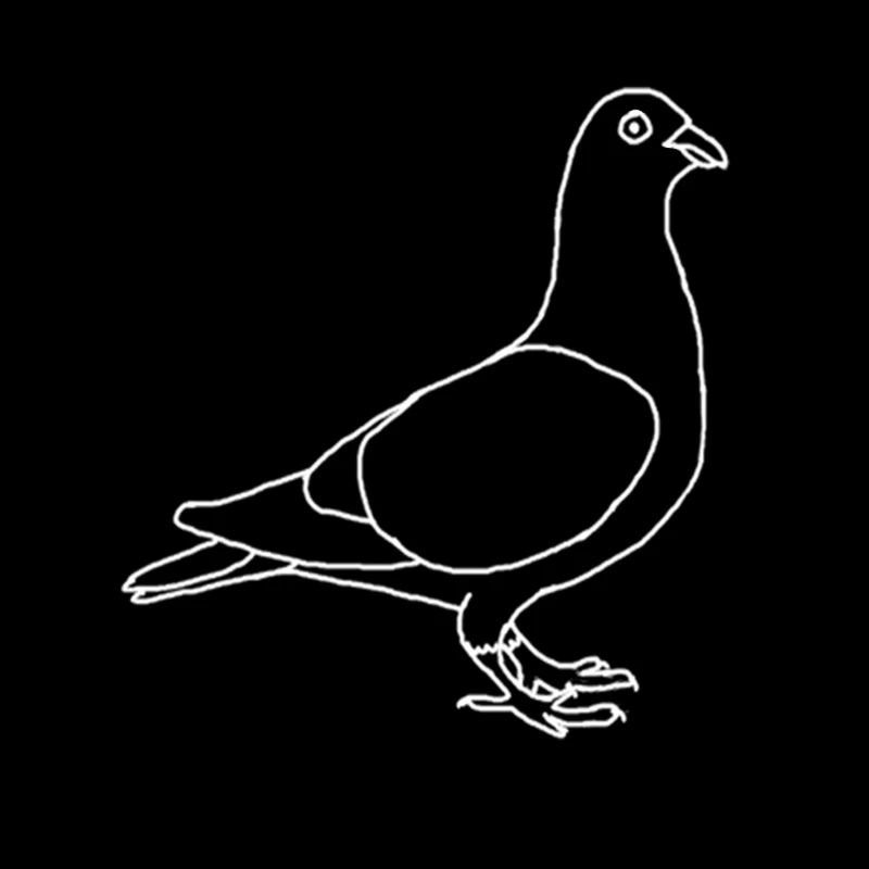 Pigeon Line art