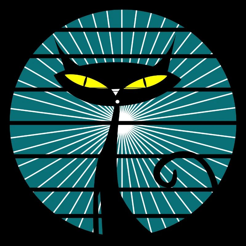 Black cat