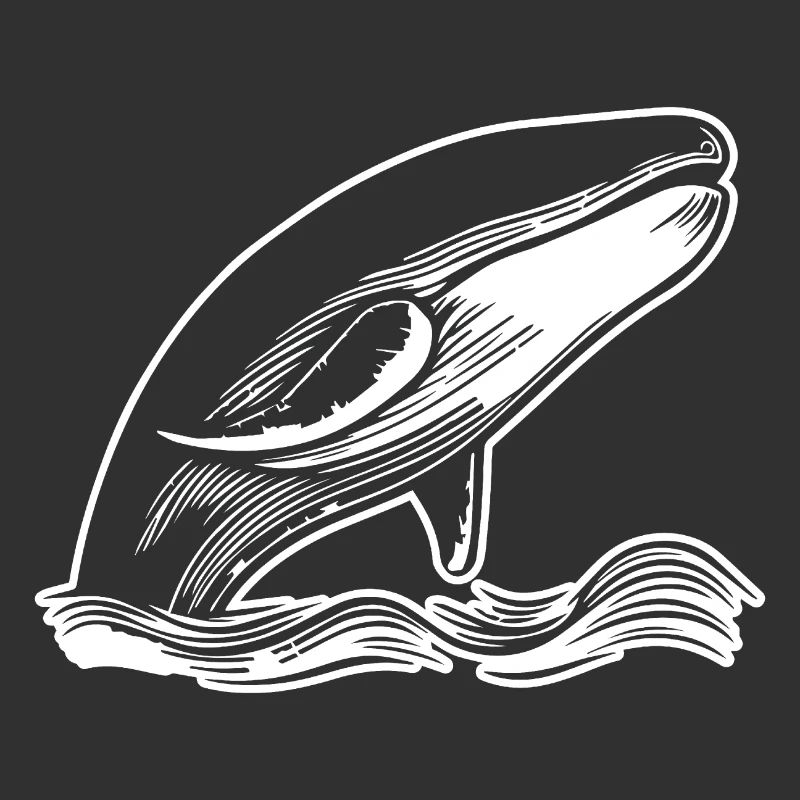 Baleine Poisson de mer