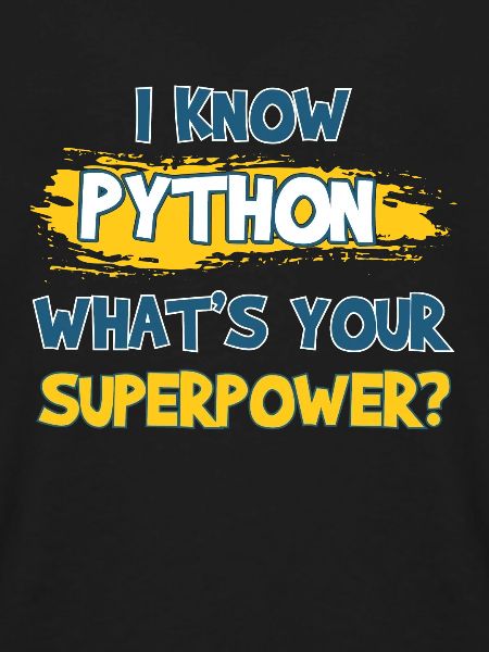 Programmierer Python