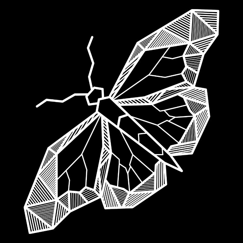 Lignes de cadeau géométriques papillon hipster