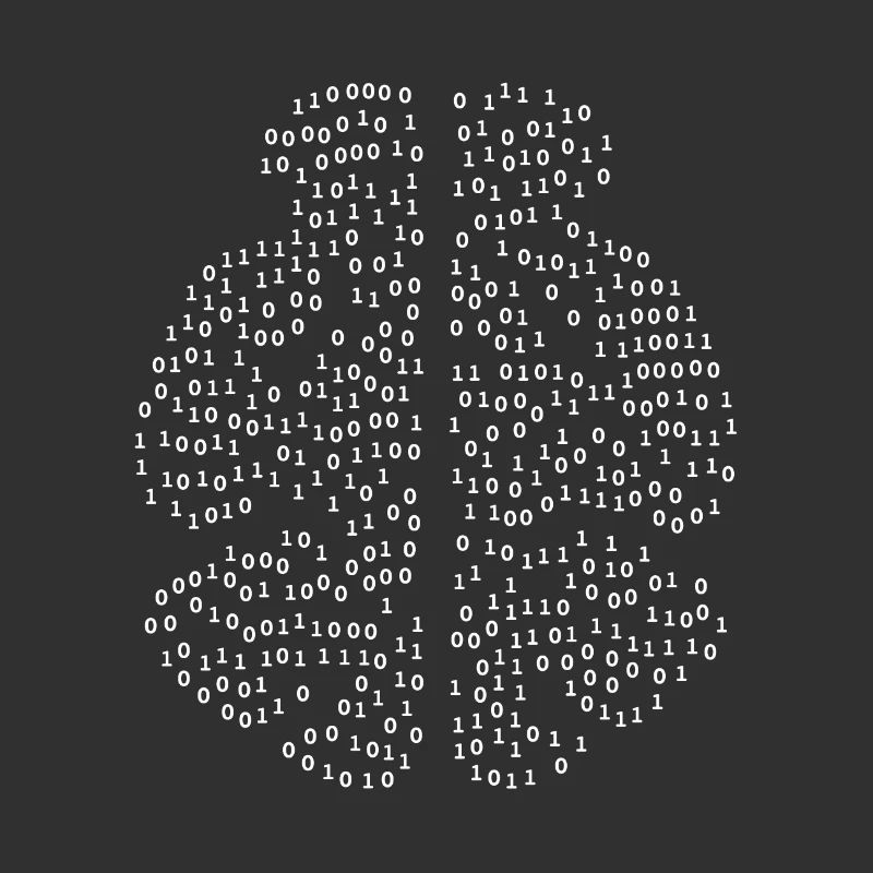 Binary Brain