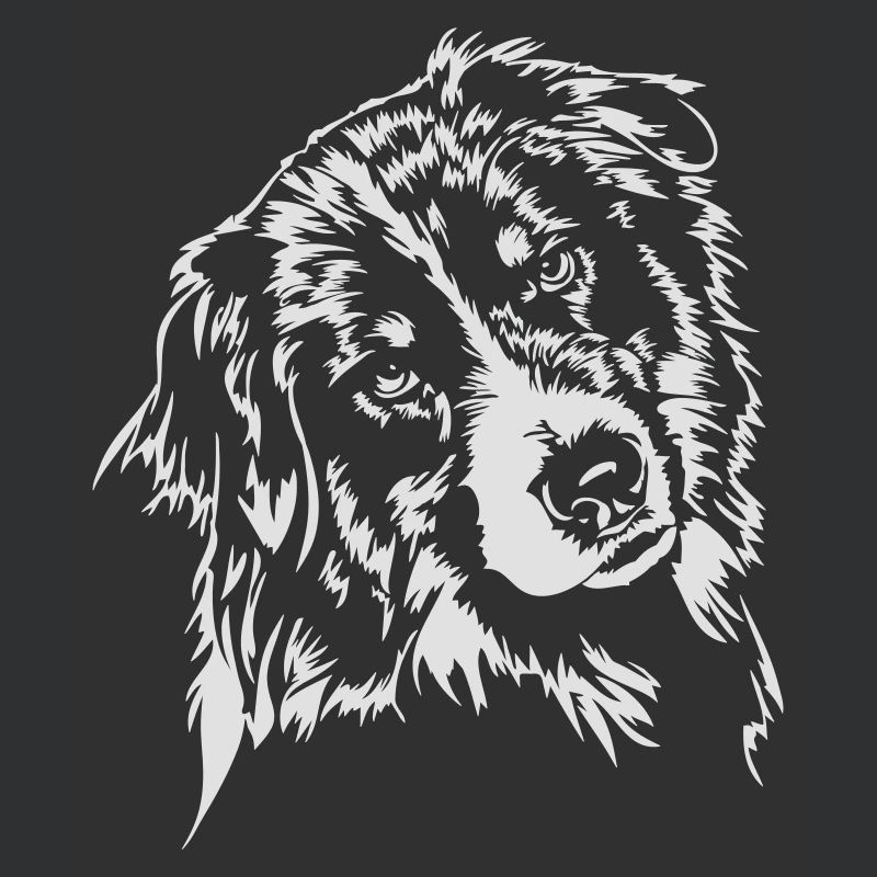 Australian Shepherd Wilsigns