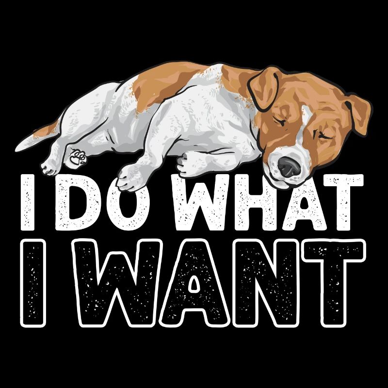 Jack Russell Terrier