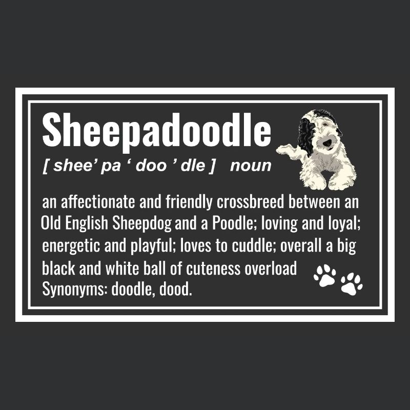 Sheepadoodle Doodle Dog