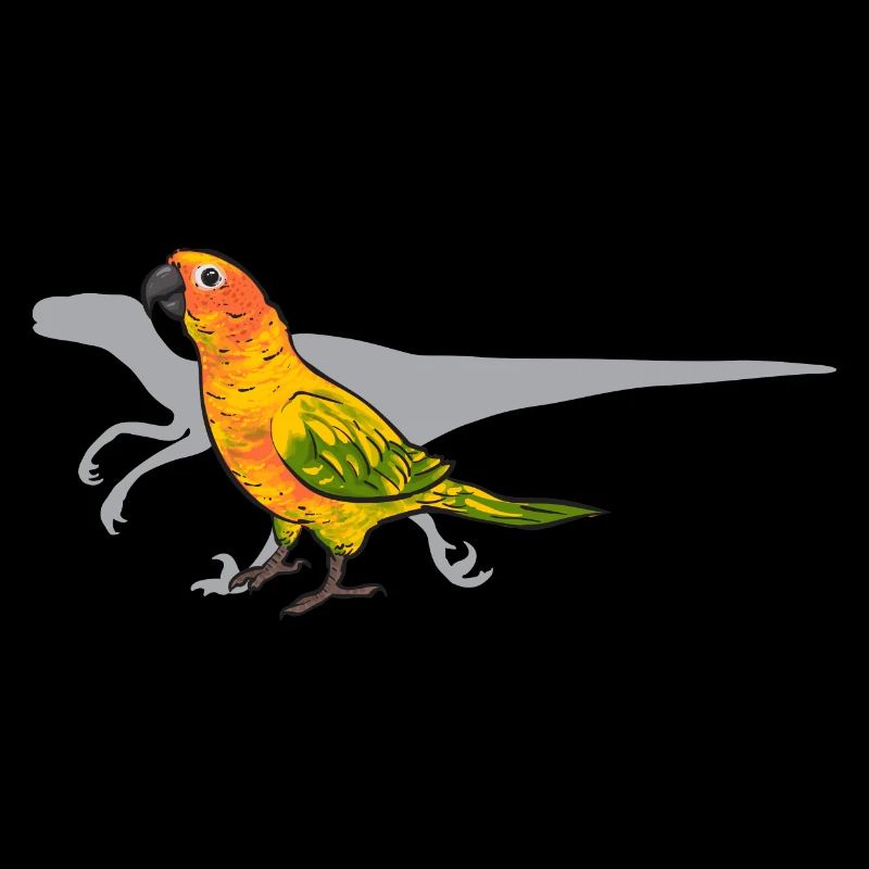 Perruche, Perroquet, Perruche, Oiseau