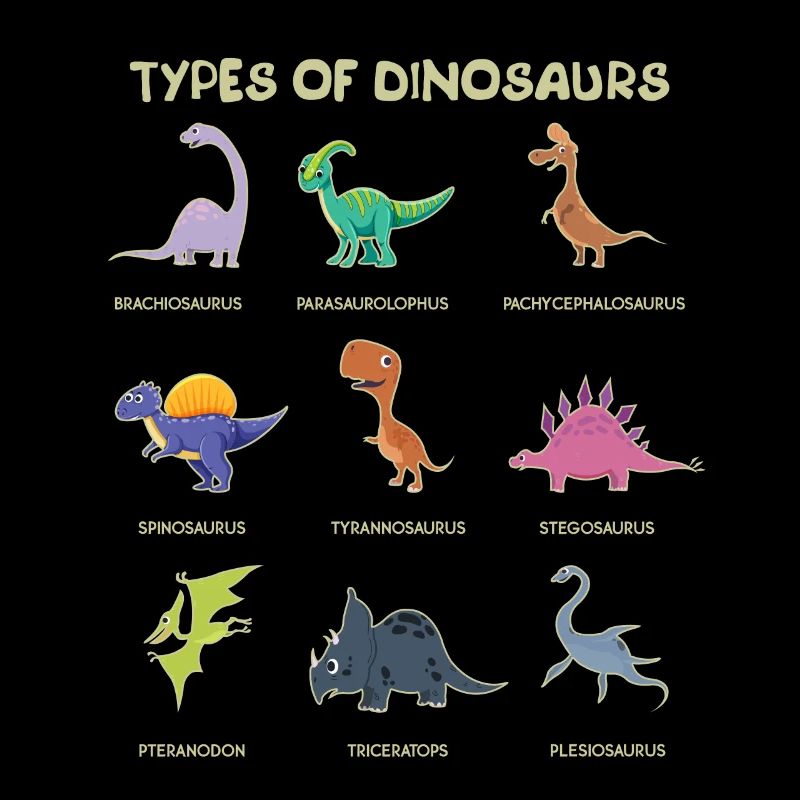 Kinder Arten von Dinosauriern Dino Expert