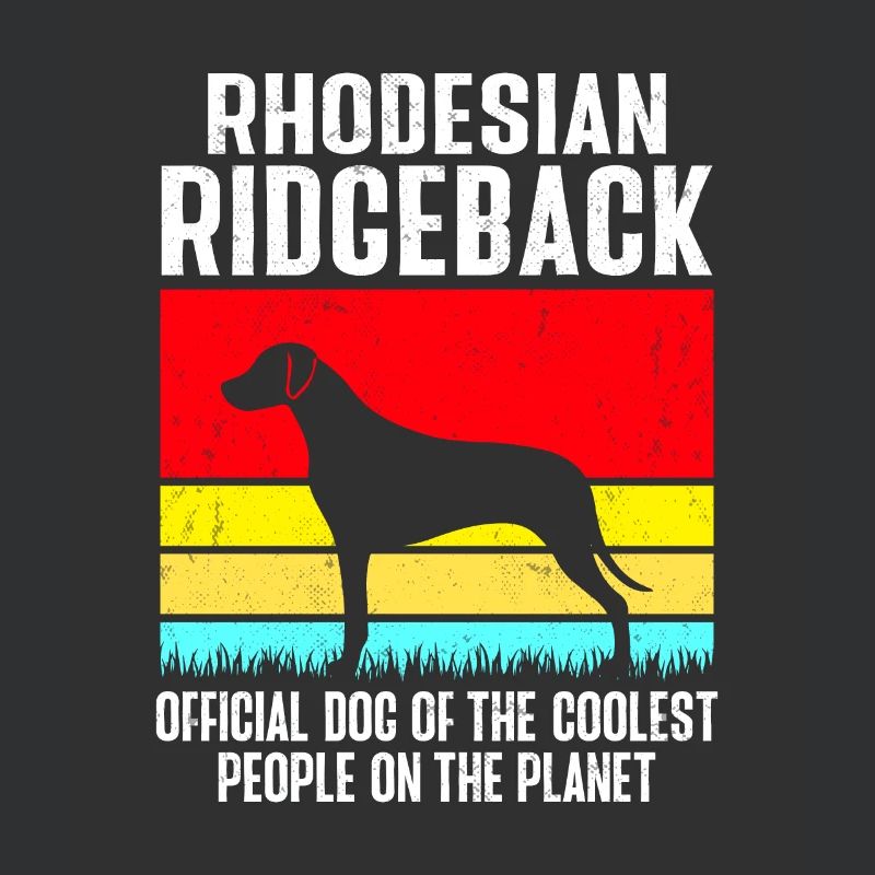 Rhodesian Ridgeback Hund