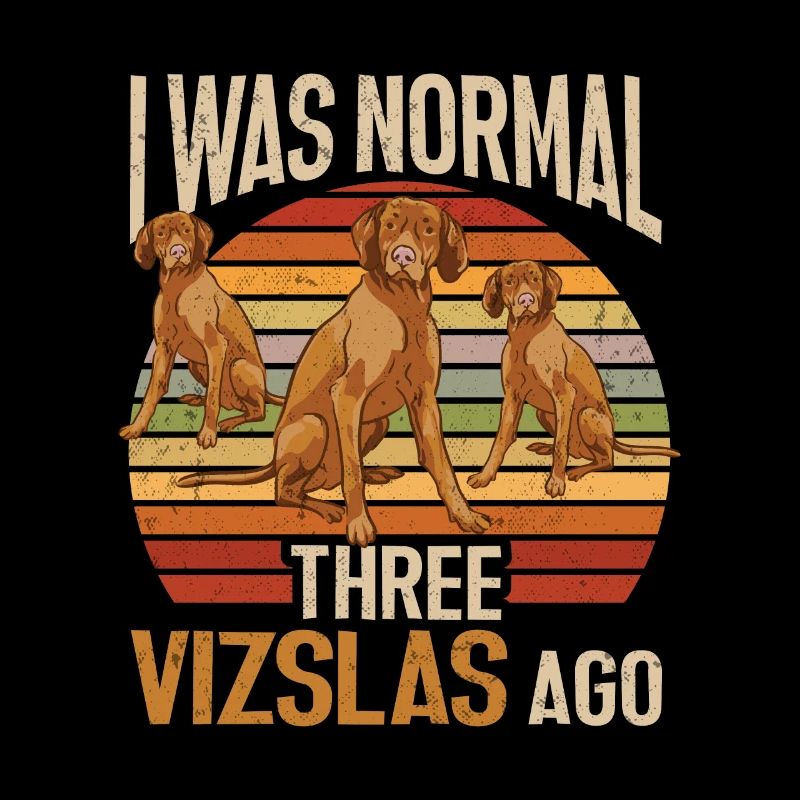 Vizsla Retro Three Vizslas ago I was normal