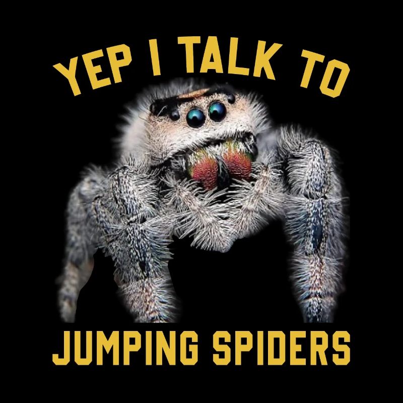 Pet Owners Jumping Spiders Collections