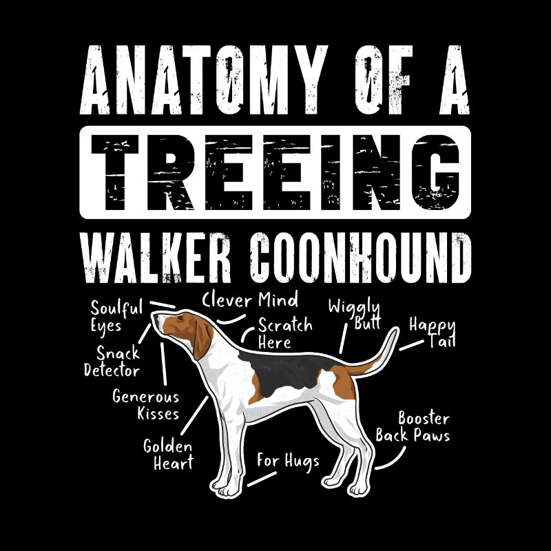Marcheur arboricole Coonhound