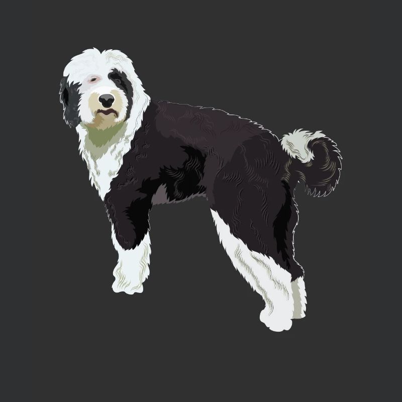 Sheepadoodle Hund Geschenk
