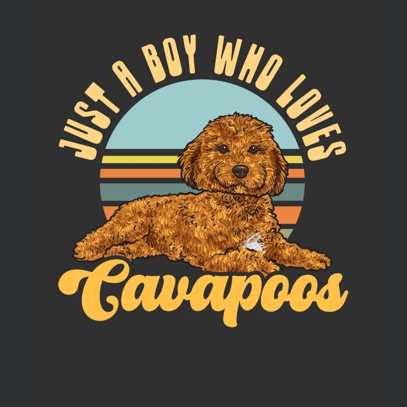 Cavapoo Cavoodle Capoodle Dog