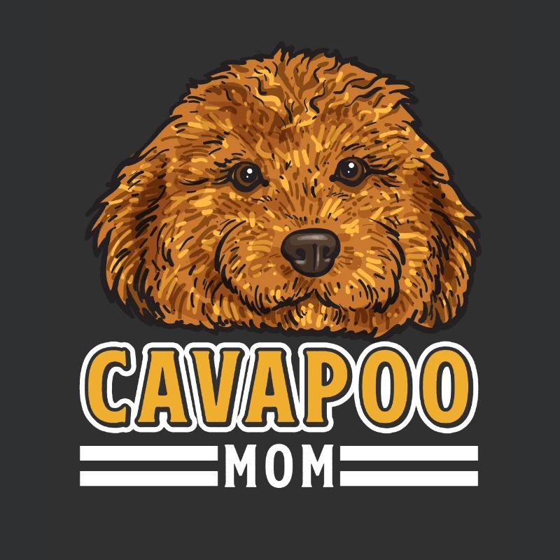 Cavapoo Cavoodle Capoodle Hund
