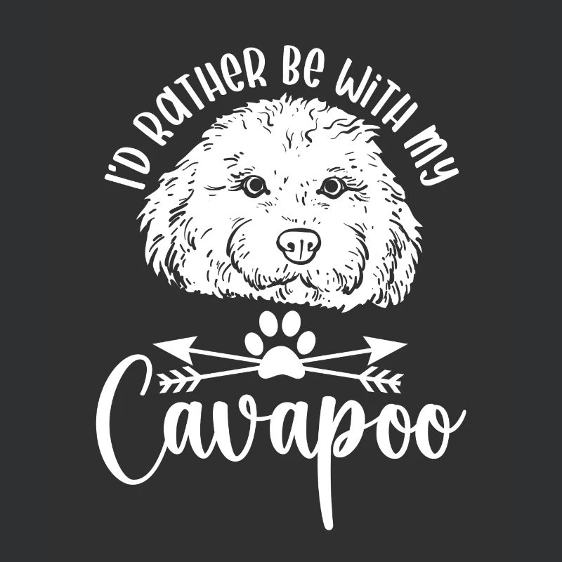 Cavapoo Cavoodle Capoodle Dog
