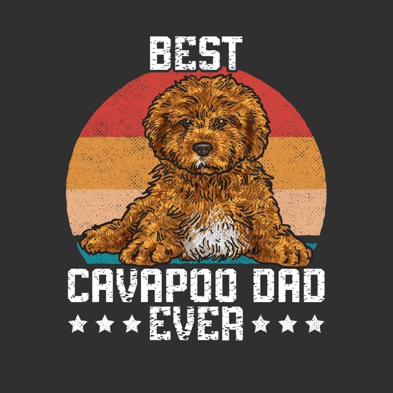 Cavapoo Cavoodle Capoodle Hund