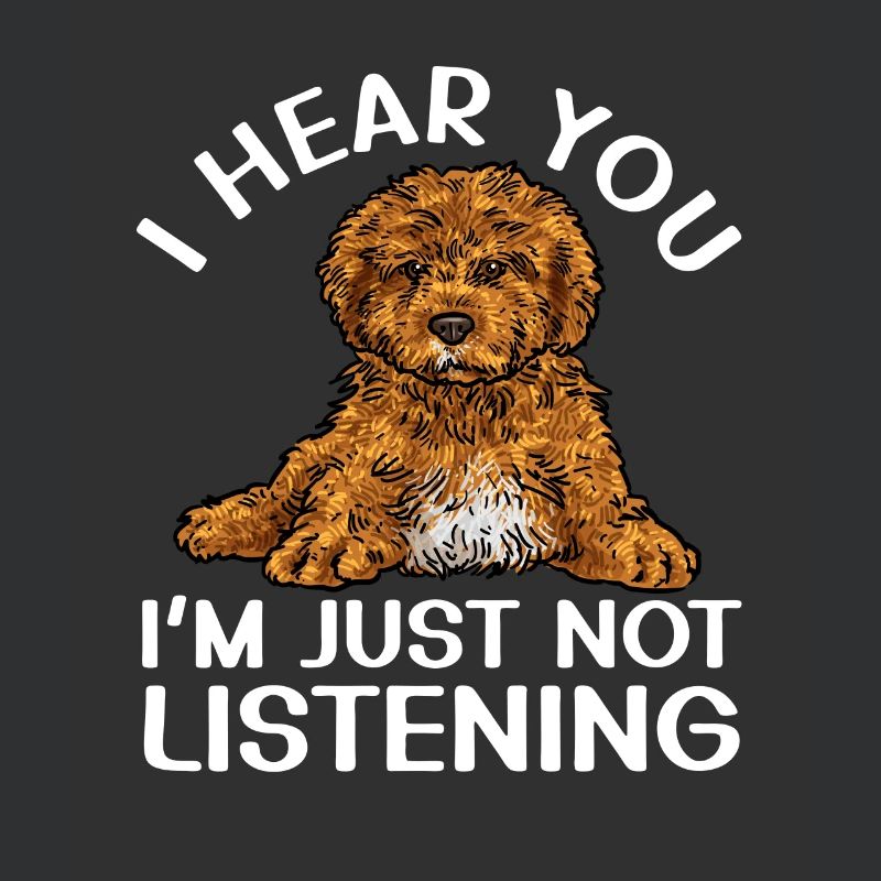 Cavapoo Cavoodle Capoodle Hund