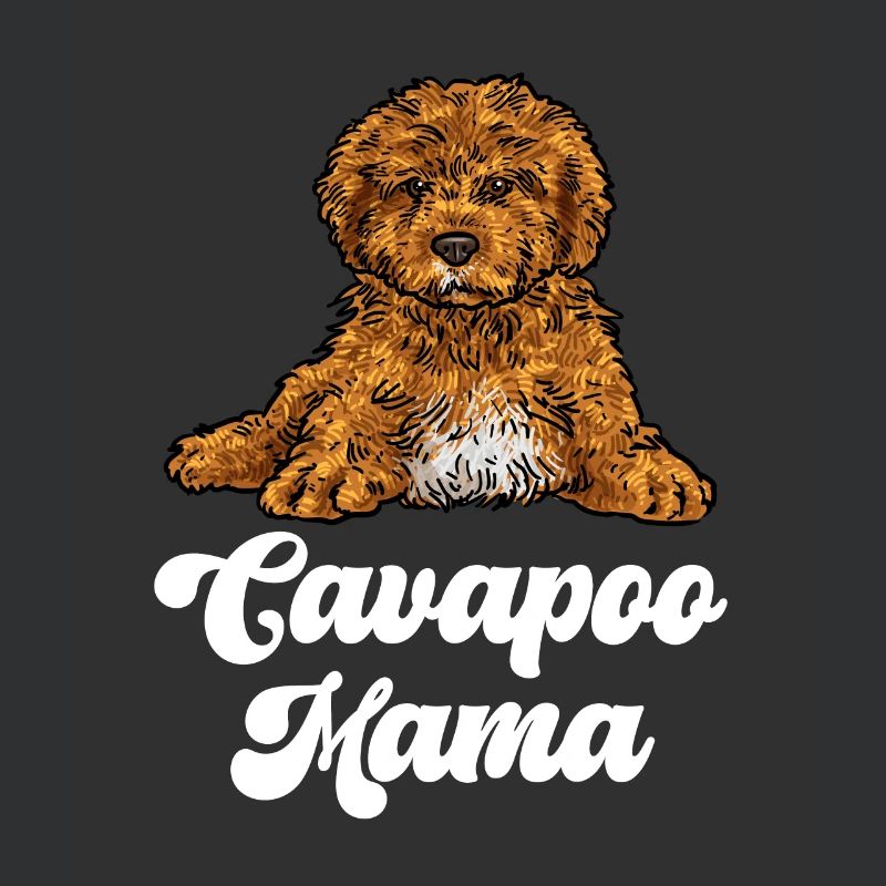 Cavapoo Cavoodle Capoodle Dog