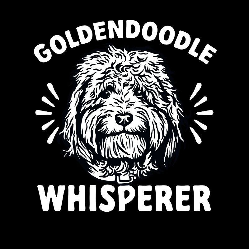 Goldendoodle Doodle Chien