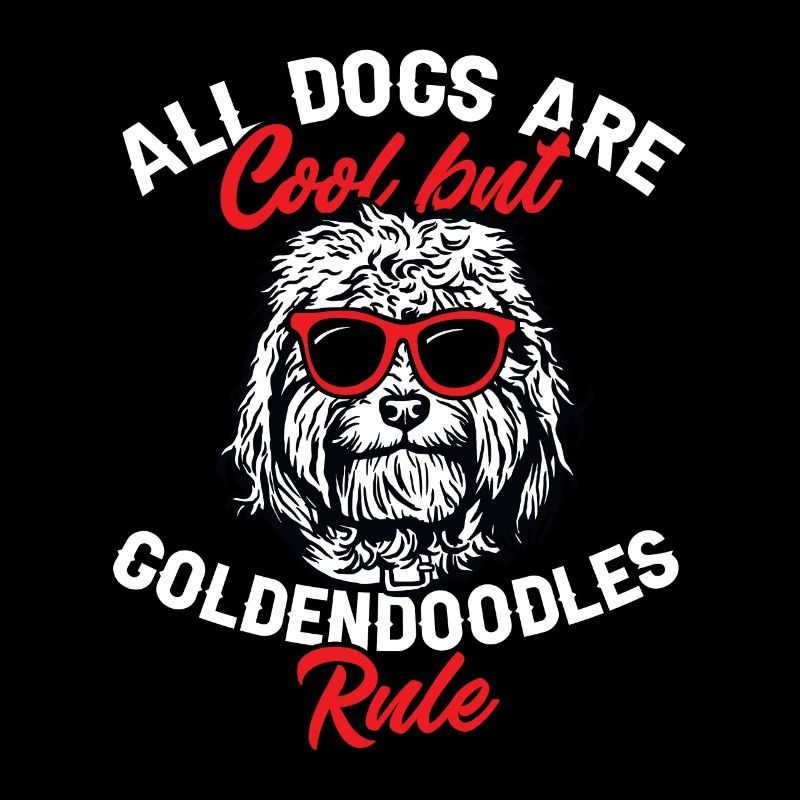 Goldendoodle Doodle Chien