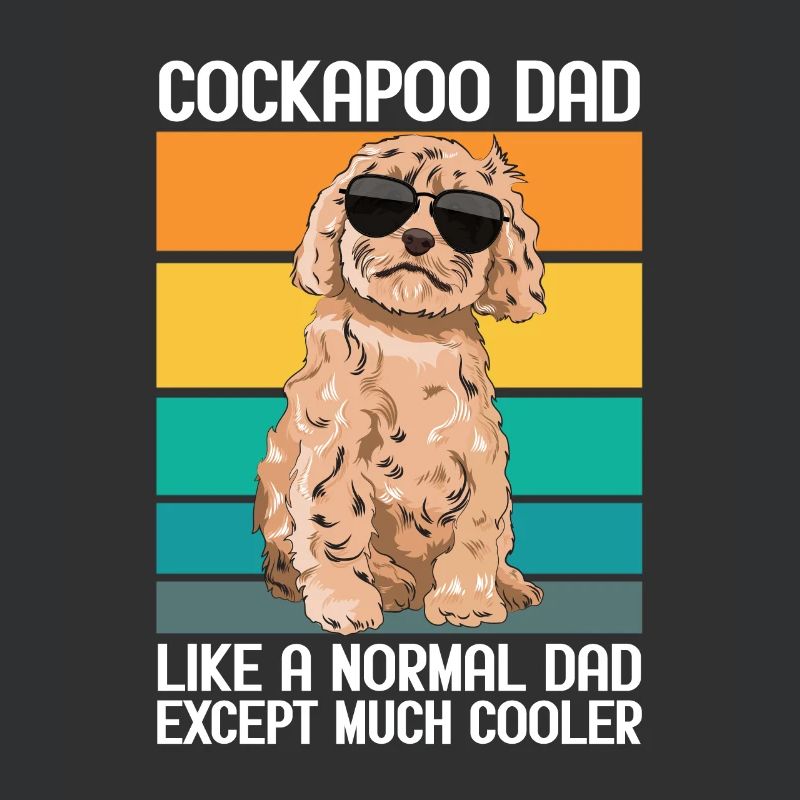 Cockapoo Chien