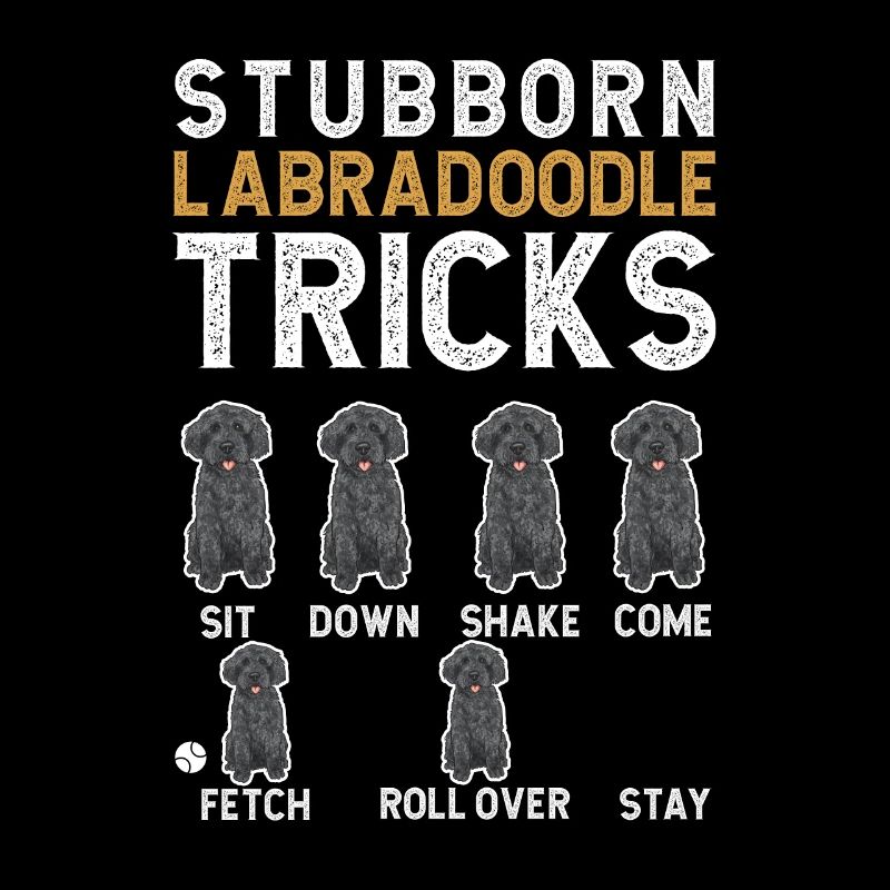 Labradoodle Hund