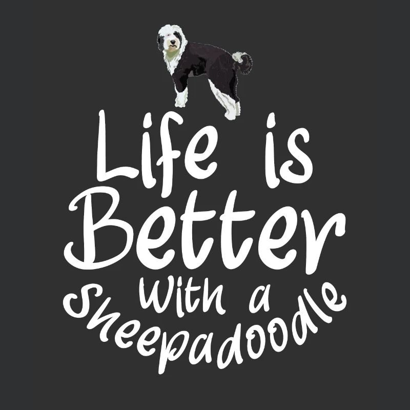 Sheepadoodle Doodle Hund