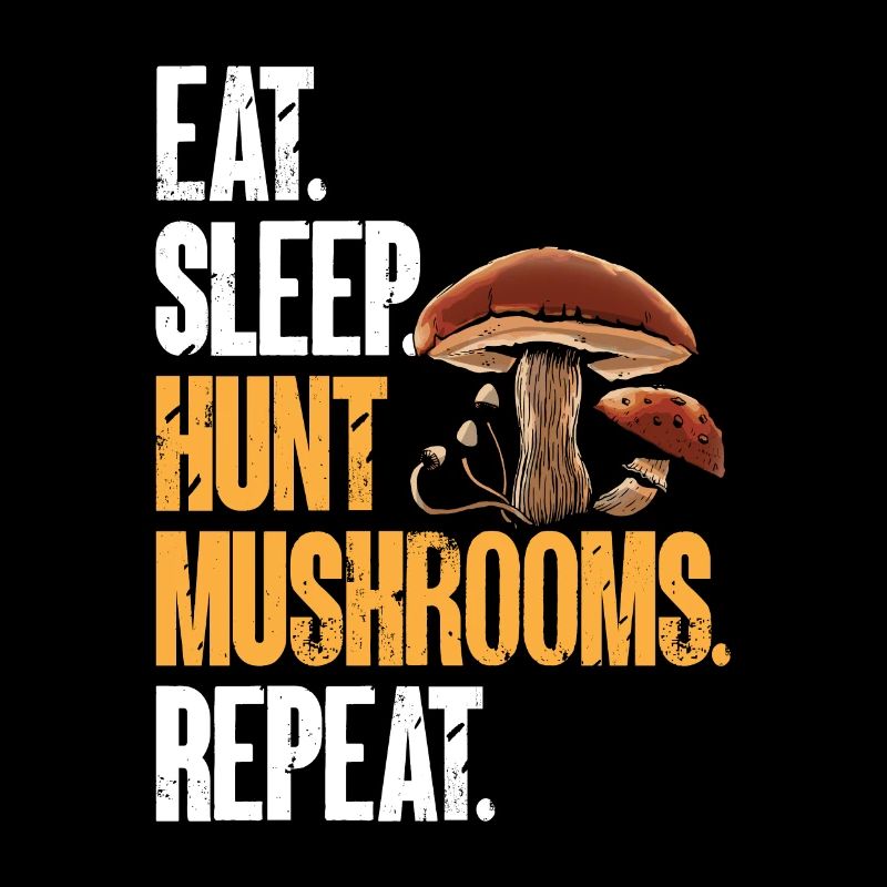 Chasse aux champignons, champignons, morilles, cueillette de champignons, cueillette de champignons
