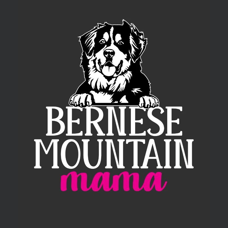 Bouvier bernois