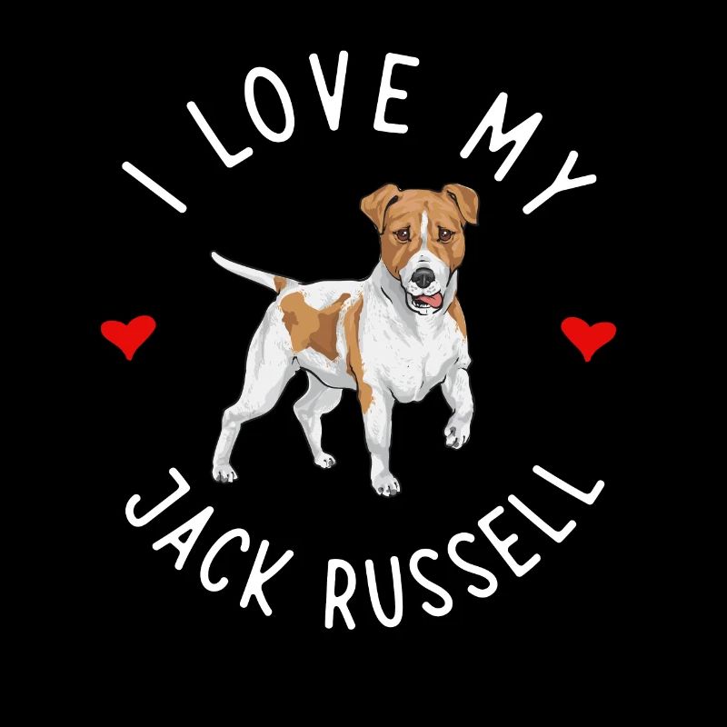 Jack Russell Terrier
