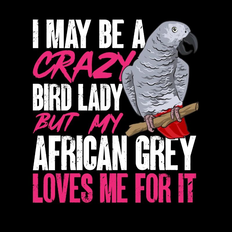 Graupapagei Perroquet gris d’Afrique Papagei