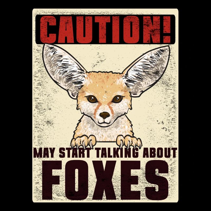 Fennek Fox Fennec Fox Desert Fox