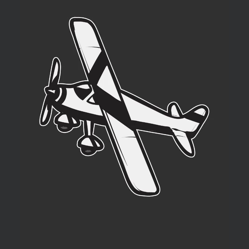 Modèle d’avion télécommandé