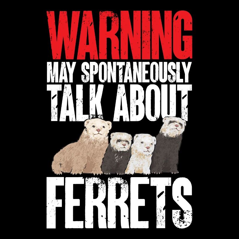 Furet, propriétaire de furet