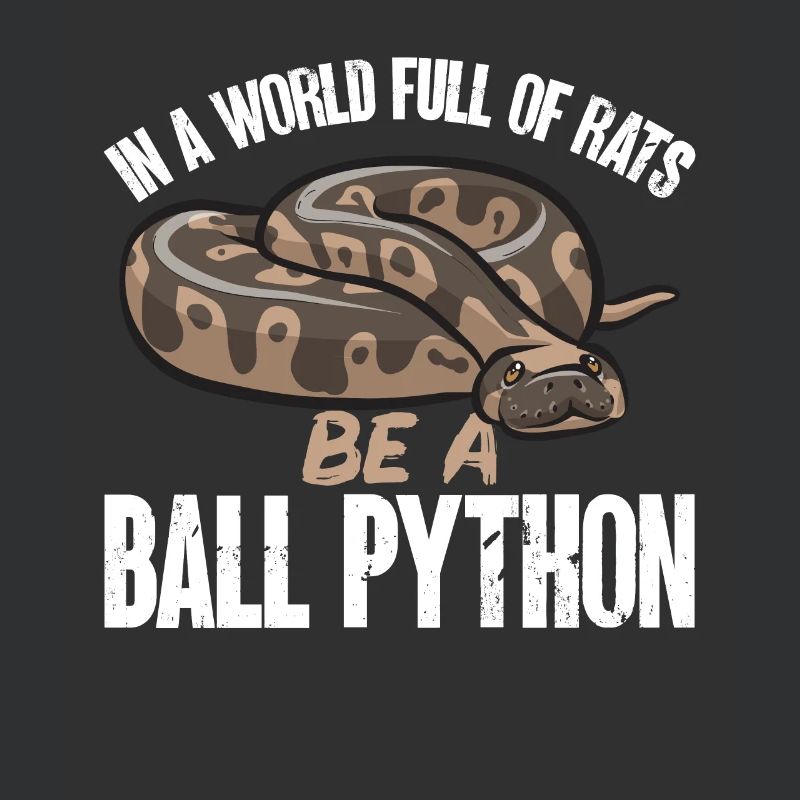 Ball Python Schlange Königspython