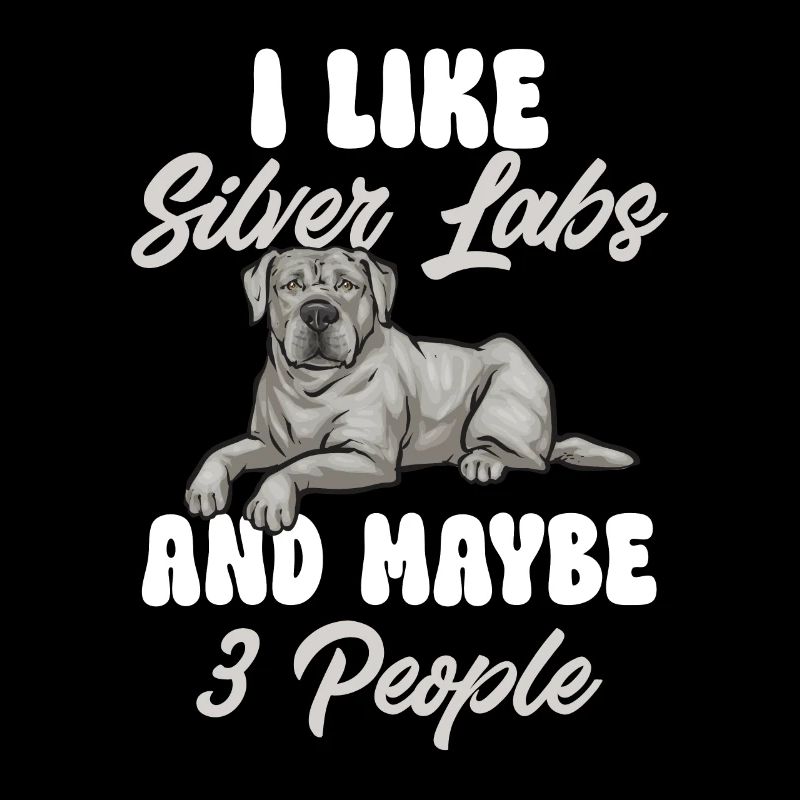 Silver Labrador Retriever Silver Lab