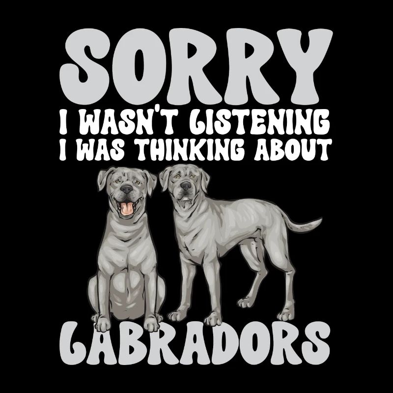 Silver Labrador Retriever Silver Lab