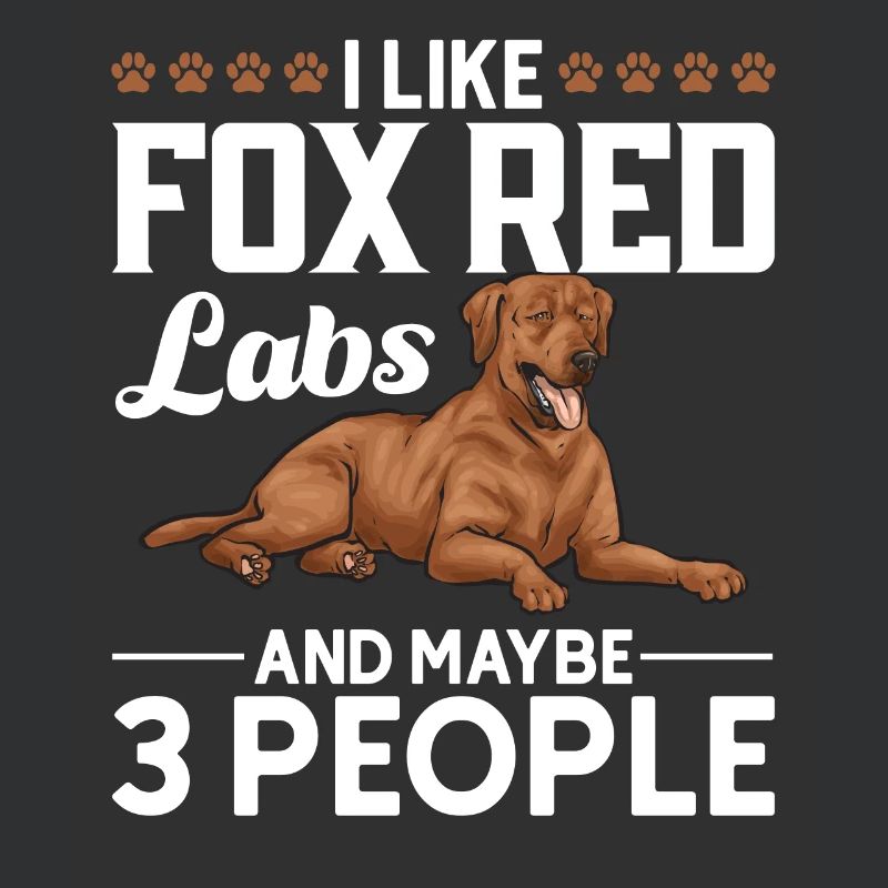 Fuchsroter Labrador Retriever Fox Red Labrador