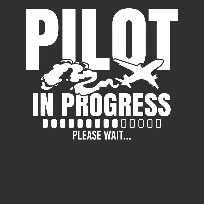 Pilot In Progress Please Wait Loading Plane