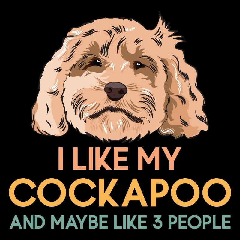 Cockapoo Hund