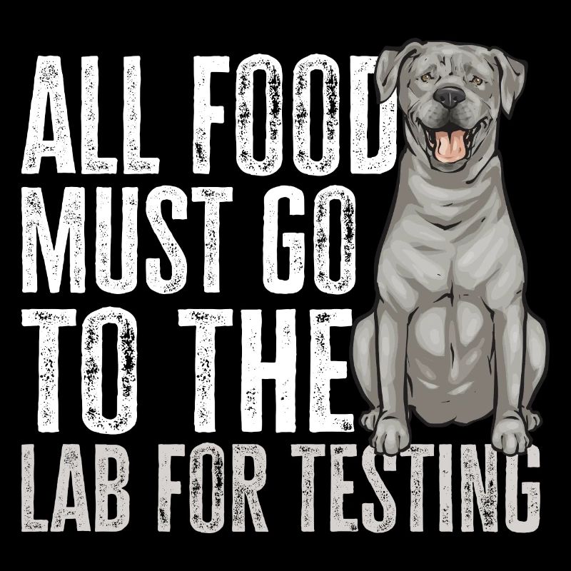 Silver Labrador Retriever Silver Lab