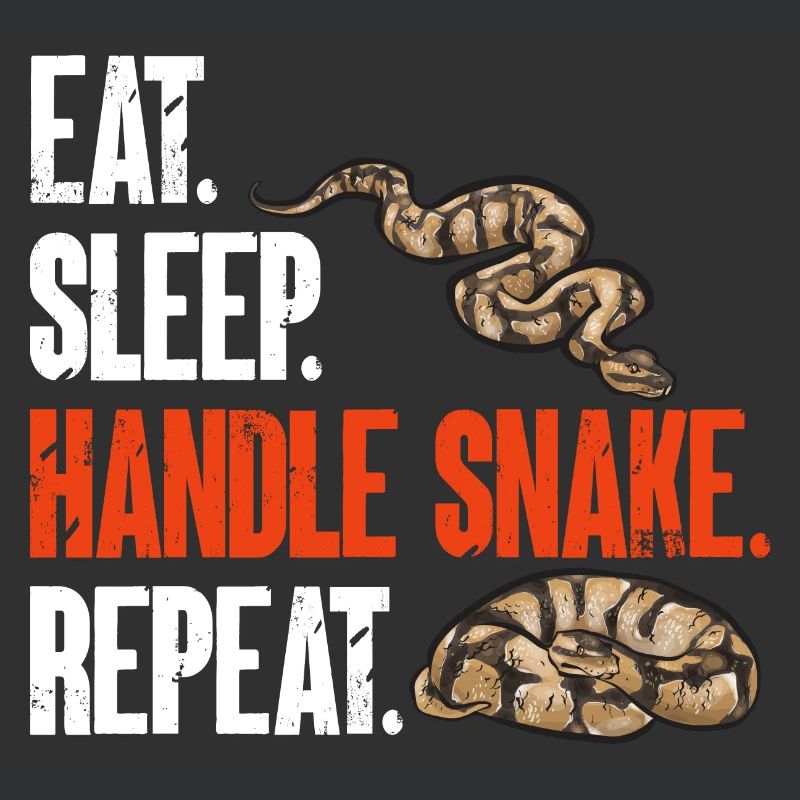 Ball Python Schlange Königspython