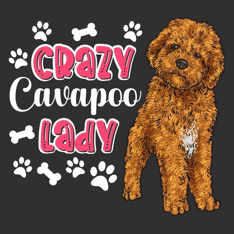 Cavapoo Cavoodle Capoodle Chien
